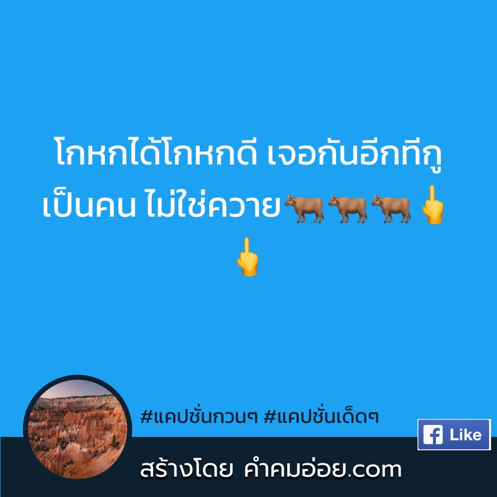 รวม 33 